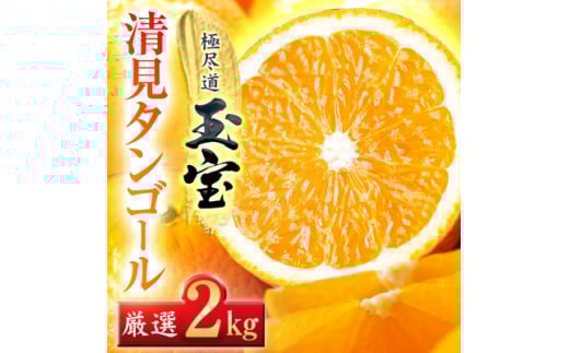 ＜愛媛名産＞玉宝清見タンゴール　2kg＜A64-81＞【1623964】 2116251 - 愛媛県八幡浜市