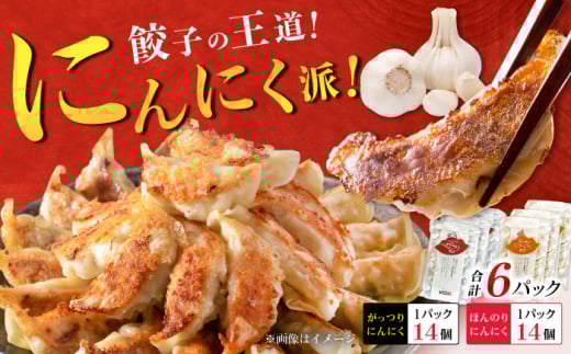 【お中元対象】【王道！にんにく派×3パック】餃子2種セット！【餃子屋ヒロ】開成町 餃子 点心 惣菜 冷凍 [BDAS008-5] 2115757 - 神奈川県開成町