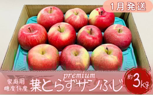 【1月発送】訳あり 家庭用 プレミアム葉とらずサンふじ蜜入り～葉とらずの奇跡～ 約3kg【糖度14度保証】【青森りんご・マルコウアップル】