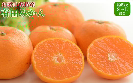 [秀品]和歌山有田みかん約5kg（S～Lサイズ混合）※2025年11月中旬～2026年1月中旬頃に順次発送【tecj1025】 2117227 - 和歌山県太地町