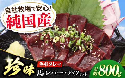 『純国産』熊本の味 馬 珍味 セット 計約800g（約200g×4セット）レバー ハツ 刺身 タレ付 馬肉 希少 熊本 生レバー 生ハツ 【有限会社 九州食肉産業】 [AYCN016]