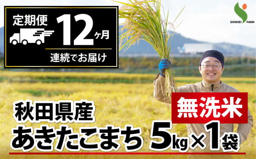 新米先行受付 【定期便12ヶ月】秋田県産あきたこまち(無洗米)5kg 900P9204 　/ 米 無洗米 5kg 白米 令和7年産 秋田県産 あきたこまち 5kg×1袋 おにぎり 大館 東北 秋田 小分け こわけ 大館市 5キロ 5ｷﾛ 5きろ