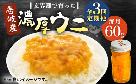 【全3回定期便】壱岐産 濃厚 ウニ60g《壱岐市》【合同会社塚元】ムラサキウニ 海産物 海鮮 ウニ うに 雲丹 珍味 [JDR030] 2114670 - 長崎県壱岐市
