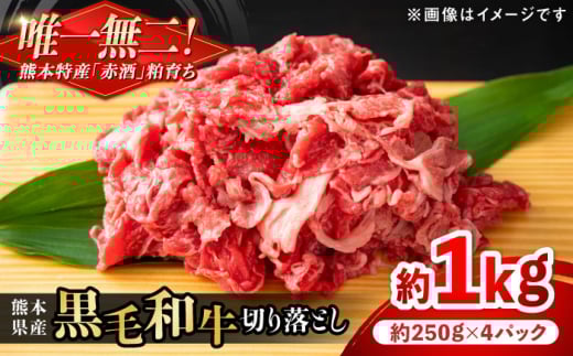 熊本県産 『原田畜産』 黒毛和牛 切り落とし 計約1kg（約250g×4パック） 牛肉 牛【有限会社 九州食肉産業】 [AYCN011] 2115003 - 熊本県合志市
