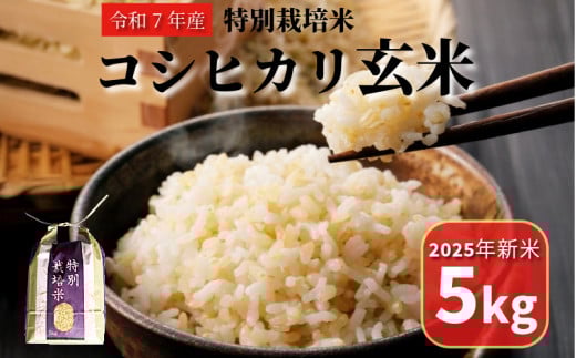【先行予約2025年9月順次発送】コシヒカリ 玄米 5kg 特別栽培米 新米 米 こめ お米 健康 栄養 たっぷり 一等米 美味しい ビタミン ミネラル 小松島市 2115799 - 徳島県小松島市