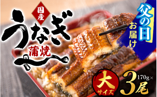 　【父の日】大型サイズ ふっくら柔らか国産うなぎ蒲焼き ３尾 / ウナギ 鰻 うなぎ蒲焼 ひつまぶし うな丼 うな重 国産 プレゼント 贈答 父の日【uot303-pp】 2115721 - 和歌山県由良町