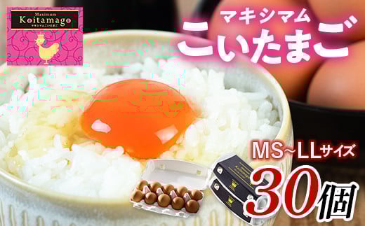 【TVで話題沸騰!】とにかく黄身が濃いたまご「マキシマムこいたまご」30個入り 伊達市 福島県 国産 MS~LLサイズ 卵 たまご 玉子 生卵 鶏卵 F21C-180 2115544 - 福島県伊達市
