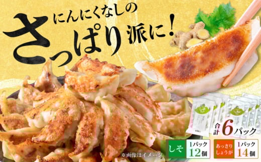 【お中元対象】【さっぱり！しそ＆しょうが派×3パック】餃子2種セット！【餃子屋ヒロ】開成町 餃子 点心 惣菜 冷凍 [BDAS008-6] 2115758 - 神奈川県開成町