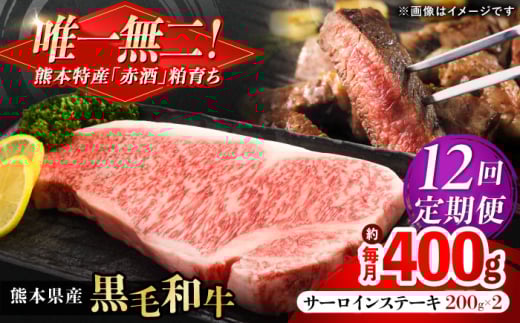 [全12回定期便]熊本県産 『原田畜産』 黒毛和牛 サーロイン ステーキ 計約400g(約200g×2枚) [AYCN053]