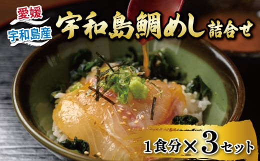 ＼10営業日以内発送／ 鯛めし 3食 セット 宇和島鯛めし 辻水産 家庭用 保冷バッグ 梱包 生鯛めし 真鯛 鯛 マダイ タイ tai 刺身 お刺身 刺し身 漬け丼 漬け 漬丼 丼 丼ぶり 海鮮丼 郷土料理 鯛飯 海鮮 人気 海の幸 魚介 人気加工品 冷凍 小分け パック お手軽 便利 簡単 調理 乗せるだけ 産地直送 国産 愛媛 宇和島 D010-062006 2118121 - 愛媛県宇和島市