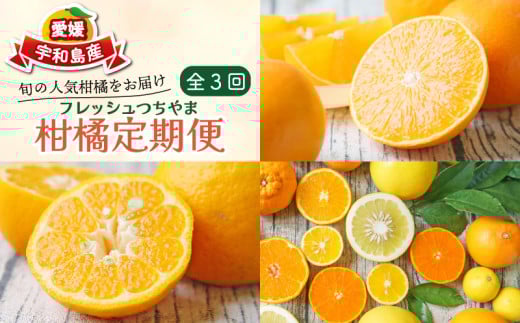柑橘定期便 全 3回 みかん定期便 家庭用 愛果28号 ポンカン おまかせ詰合せ フレッシュつちやま 季節の柑橘 旬 愛媛みかん 愛媛蜜柑 愛媛ミカン 果物 くだもの フルーツ 柑橘 みかん mikan産地直送 数量限定 国産 愛媛 宇和島 B036-096018 1307235 - 愛媛県宇和島市