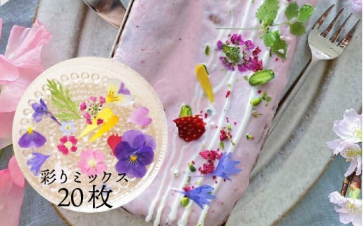 ドライ エディブルフラワー 彩りミックス 20枚 2115869 - 滋賀県守山市