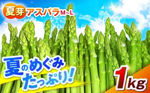 [先行予約] [数量限定]山鹿市産 いけだ農園のアスパラガス 夏芽(M~Lサイズ) 1kg[いけだ農園] 