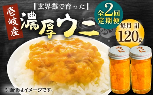 【全2回定期便】壱岐産 濃厚 ウニ 60g ×2本《壱岐市》【合同会社塚元】ムラサキウニ 海産物 海鮮 うに 雲丹 珍味 [JDR033] 2114673 - 長崎県壱岐市