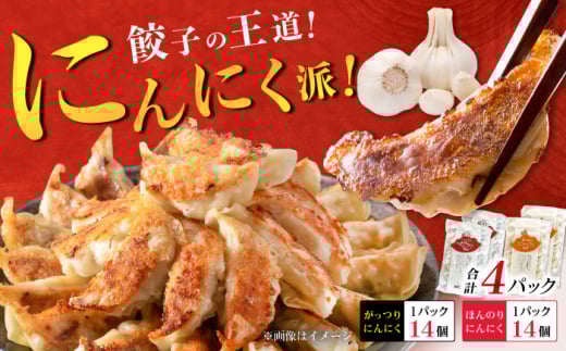 【お中元対象】【王道！にんにく派×2パック】餃子2種セット！【餃子屋ヒロ】開成町 餃子 点心 惣菜 冷凍 [BDAS008-3] 2115755 - 神奈川県開成町