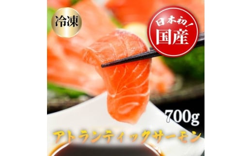 C63【寄附翌月第4金曜発送】日本初！今話題の国産アトランティックサーモン「FUJI ATLANTIC SALMON」【冷凍】700ｇ