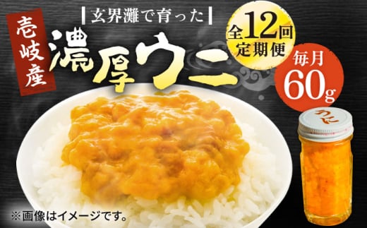 【全12回定期便】壱岐産 濃厚 ウニ60g《壱岐市》【合同会社塚元】ムラサキウニ 海産物 海鮮 ウニ うに 雲丹 珍味 [JDR032] 2114672 - 長崎県壱岐市