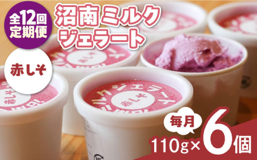 【全12回定期便】沼南ミルクジェラート 赤しそ ６個　アイス  赤しそ  アイス アイスクリーム デザート スイーツ ご当地 広島県福山市/甚ごろう [BAEC041]