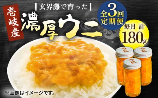 【全3回定期便】壱岐産 濃厚 ウニ 60g ×3本《壱岐市》【合同会社塚元】ムラサキウニ 海産物 海鮮 うに 雲丹 珍味 [JDR038] 2114678 - 長崎県壱岐市