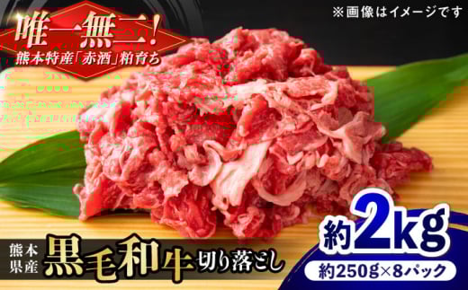 熊本県産 『原田畜産』 黒毛和牛 切り落とし 計約2kg（約250g×8パック） 牛肉 牛【有限会社 九州食肉産業】 [AYCN014] 2115005 - 熊本県合志市