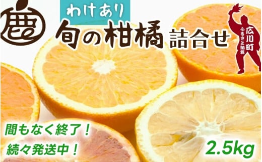 柑橘 詰合せ 2.5kg+75g 訳あり 光センサー / みかん 不知火 清見 八朔 伊予間 セミノール レモン ３種類以上 詰め合わせ 晩柑 ※1月上旬〜6月下旬に順次発送 ※北海道・沖縄・離島への配送不可【ikd049-c-2d5】 2115477 - 和歌山県広川町