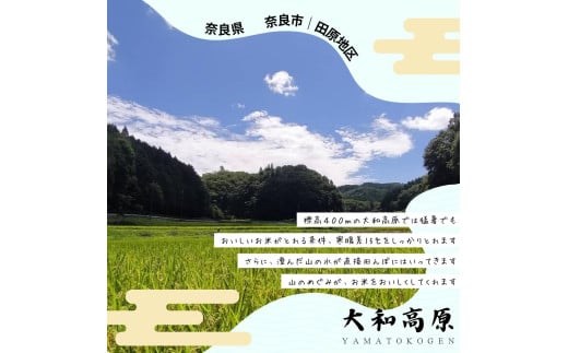 〈数量限定〉【2025年9月以降発送】新米コシヒカリ 27kg（精米） 新米 大和高原 コシヒカリ 大和高原醸造所 奈良県 奈良市 なら 81-004 2115410 - 奈良県奈良市