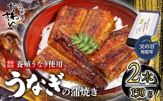 【容量選択可】【父の日ギフト対応可】〈うなぎ屋かわすい〉愛媛県松山市養殖うなぎを使用！うなぎ蒲焼 2本 (1尾：150～169g)  ｜うなぎ ウナギ 鰻 蒲焼き 国産 お取り寄せ グルメ ふるさと納税  簡単調理 土用丑の日 ギフト 贈り物 お中元 お歳暮 母の日 父の日  かわすい 川口水産 愛媛県 松山市