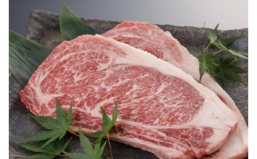 【全6回定期便】肥後の赤牛 ロースステーキ 約500ｇ【阿蘇牧場】 [AYBX094] 2114965 - 熊本県合志市