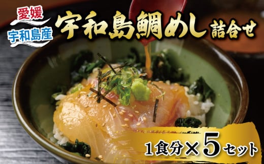 ＼10営業日以内発送／ 鯛めし 5食 セット 宇和島鯛めし 辻水産 家庭用 保冷バッグ 梱包 生鯛めし 真鯛 鯛 マダイ タイ tai 刺身 お刺身 刺し身 漬け丼 漬け 漬丼 丼 丼ぶり 海鮮丼 郷土料理 鯛飯 海鮮 人気 海の幸 魚介 人気加工品 冷凍 小分け パック お手軽 便利 簡単 調理 乗せるだけ 産地直送 国産 愛媛 宇和島 D014-062007 2118122 - 愛媛県宇和島市