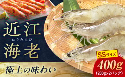 近江海老 SSサイズ 400g 滋賀県長浜市/ワボウ電子株式会社 [AQBA004] エビ 海老 えび 海鮮 魚介類 魚貝類 魚介 甲殻類 下処理不要 冷凍 業務用 小分け 国産 お弁当 刺身 刺し身 エビフライ エビチリ エビマヨ バーベキュー BBQ