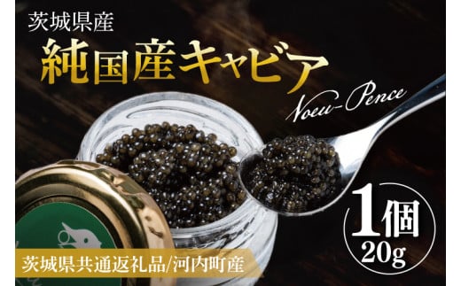 【先行予約】【12月上旬~中旬発送】【茨城県共通返礼品/河内町】純国産キャビアVoeu-Pence 20ｇ×1個【数量限定 茨城県河内町】(78-01)