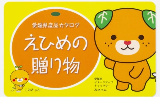 カタログギフト「えひめの贈り物」こみきゃん（全34品から選択）【愛媛県 厳選 特産品 あとから 選べる オンライン注文 グルメ 食品 工芸品 みかん レモン しらす 砥部焼 贈答 プレゼント お土産 化粧箱入り】[№5310-0289]