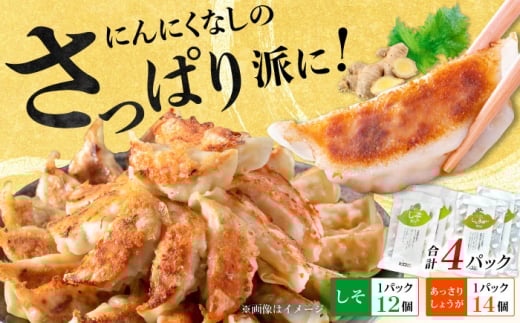 【お中元対象】【さっぱり！しそ＆しょうが派×2パック】餃子2種セット！【餃子屋ヒロ】開成町 餃子 点心 惣菜 冷凍 [BDAS008-4] 2115756 - 神奈川県開成町
