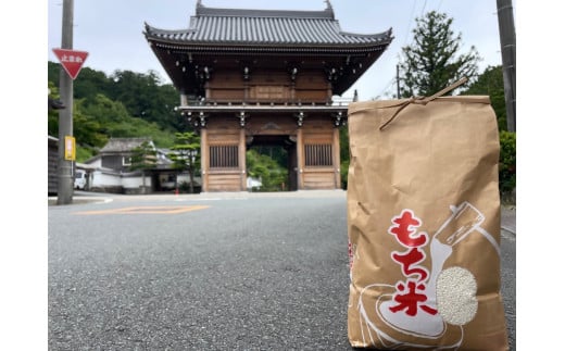 [令和7年産]先行予約 新米 農家直送!うまいもち米3kg(精米)