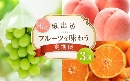 坂出市 旬のフルーツを味わう3回 定期便