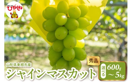 [選べる内容量]2025年産 シャインマスカット (600g 1.2kg 2kg 5kg ) 秀品 山形県 東根市 hi082-023