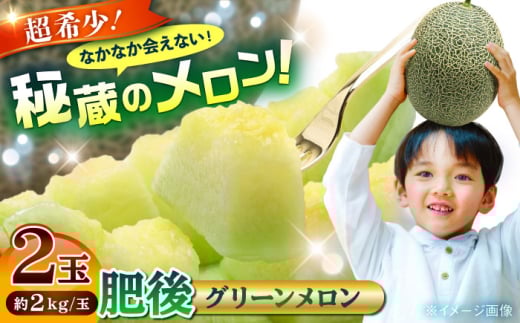【先行予約】【数量限定】肥後グリーンメロン 2玉 計4kg 【合同会社 福福堂】 [AYAC045]