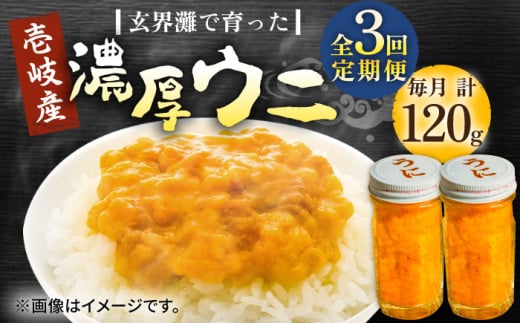 【全3回定期便】壱岐産 濃厚 ウニ 60g ×2本《壱岐市》【合同会社塚元】ムラサキウニ 海産物 海鮮 うに 雲丹 珍味 [JDR034] 2114674 - 長崎県壱岐市