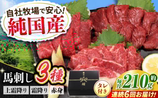 【全6回定期便】『純国産』熊本の味 馬刺し お試し 3種 セット 計約210g（2〜3人前）上霜降り 霜降り 赤身 タレ付【有限会社 九州食肉産業】 [AYCN071] 2114928 - 熊本県合志市