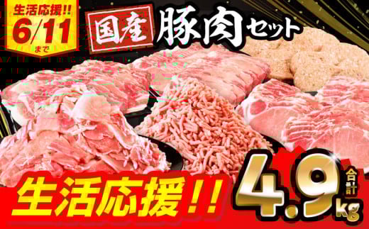 【2025年8月発送】【期間・数量限定】大満足豚肉ロースバラエティセット4.9kg_M132-094-UP-aug 963329 - 宮崎県宮崎市