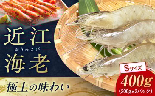 近江海老 Sサイズ 400g 滋賀県長浜市/ワボウ電子株式会社 [AQBA008] エビ 海老 えび 海鮮 魚介類 魚貝類 魚介 甲殻類 下処理不要 冷凍 業務用 小分け 国産 お弁当 刺身 刺し身 エビフライ エビチリ エビマヨ バーベキュー BBQ