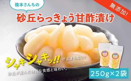 橋本さんちの砂丘らっきょう甘酢漬け 500g 482826 - 鳥取県鳥取市
