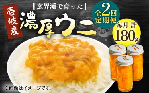 【全2回定期便】壱岐産 濃厚 ウニ 60g ×3本《壱岐市》【合同会社塚元】ムラサキウニ 海産物 海鮮 うに 雲丹 珍味 [JDR037] 2114677 - 長崎県壱岐市
