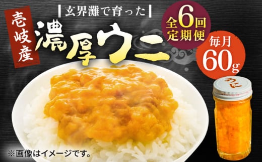 【全6回定期便】壱岐産 濃厚 ウニ60g《壱岐市》【合同会社塚元】ムラサキウニ 海産物 海鮮 ウニ うに 雲丹 珍味 [JDR031] 2114671 - 長崎県壱岐市