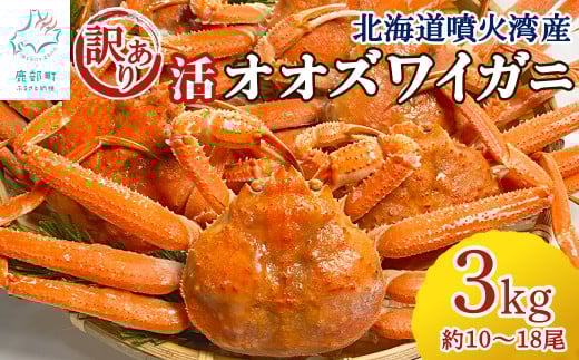 【訳あり】北海道産 活オオズワイガニ 3kg 約10～18尾 かに 蟹 ずわい蟹 2017724 - 北海道鹿部町