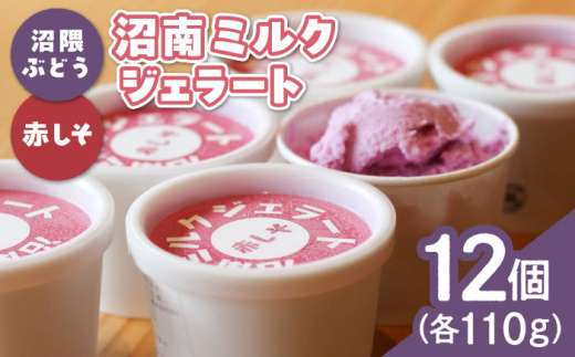 沼南ミルクジェラート 沼隈ぶどう＆赤しそ　各6個　食べ比べセット　アイス  ぶどう 赤しそ アイス アイスクリーム デザート スイーツ ご当地 広島県福山市/甚ごろう [BAEC049]