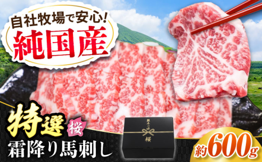 『純国産』熊本の味「桜」霜降り馬刺し「特選」 計約600g（約300g×2セット） 霜降り 馬肉 馬刺【有限会社 九州食肉産業】 [AYCN022] 2115011 - 熊本県合志市
