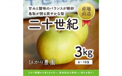 こだわり二十世紀梨 3キロ（ひかり農園） 1341259 - 鳥取県鳥取市