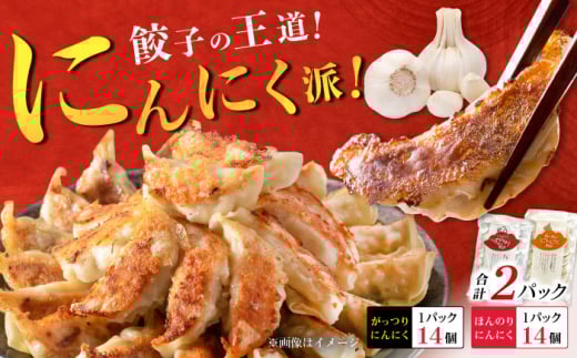 [王道!にんにく派×1パック]餃子2種セット![餃子屋ヒロ]開成町 餃子 点心 惣菜 冷凍 [BDAS008-1]
