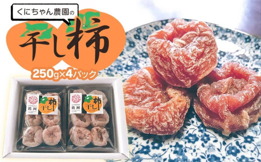 【令和8年発送】 干し柿 250g × 4パック  (1kg)　山形県鶴岡市 くにちゃん農園　K-737 2115398 - 山形県鶴岡市